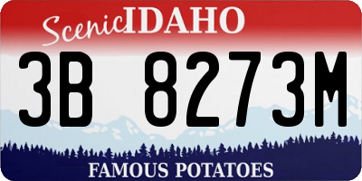 ID license plate 3B8273M