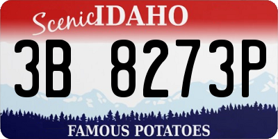 ID license plate 3B8273P