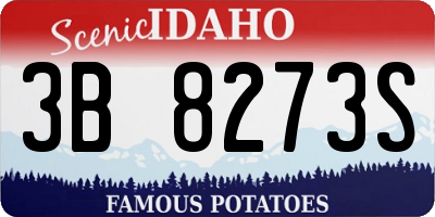 ID license plate 3B8273S