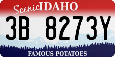 ID license plate 3B8273Y