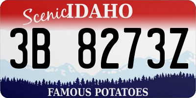 ID license plate 3B8273Z
