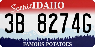 ID license plate 3B8274G