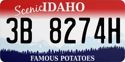 ID license plate 3B8274H