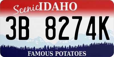 ID license plate 3B8274K