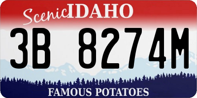 ID license plate 3B8274M