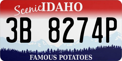 ID license plate 3B8274P