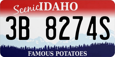 ID license plate 3B8274S