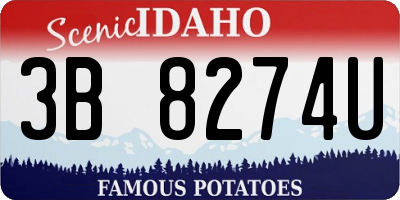ID license plate 3B8274U