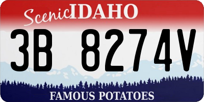 ID license plate 3B8274V