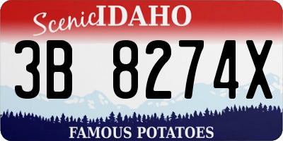 ID license plate 3B8274X