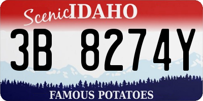 ID license plate 3B8274Y