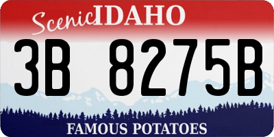 ID license plate 3B8275B