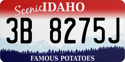 ID license plate 3B8275J