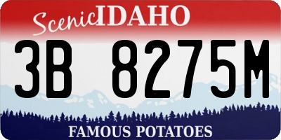 ID license plate 3B8275M