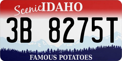 ID license plate 3B8275T