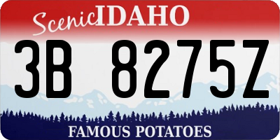 ID license plate 3B8275Z