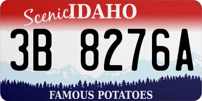 ID license plate 3B8276A