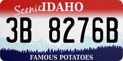 ID license plate 3B8276B