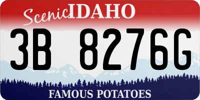 ID license plate 3B8276G