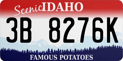 ID license plate 3B8276K