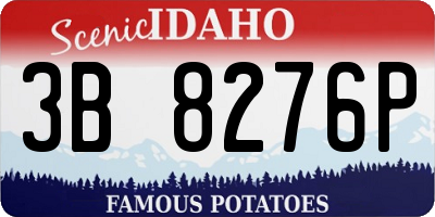 ID license plate 3B8276P