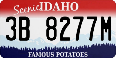 ID license plate 3B8277M