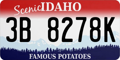 ID license plate 3B8278K
