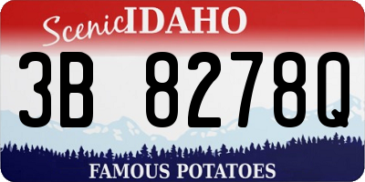 ID license plate 3B8278Q