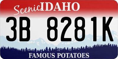 ID license plate 3B8281K