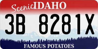 ID license plate 3B8281X