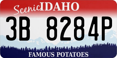 ID license plate 3B8284P