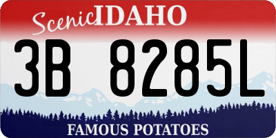 ID license plate 3B8285L