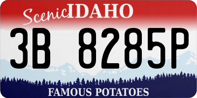 ID license plate 3B8285P