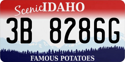 ID license plate 3B8286G