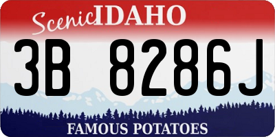 ID license plate 3B8286J