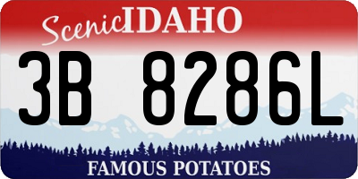 ID license plate 3B8286L