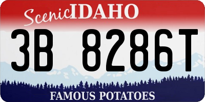 ID license plate 3B8286T