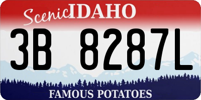 ID license plate 3B8287L