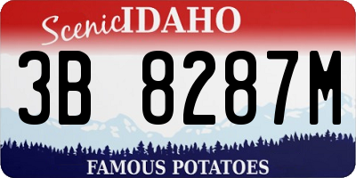 ID license plate 3B8287M