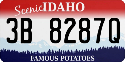 ID license plate 3B8287Q