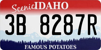 ID license plate 3B8287R