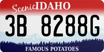 ID license plate 3B8288G