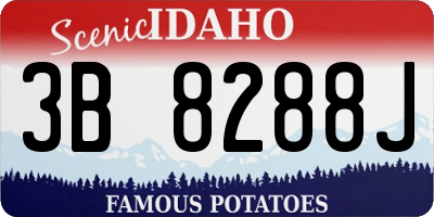 ID license plate 3B8288J