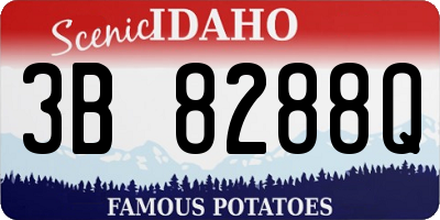 ID license plate 3B8288Q