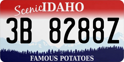 ID license plate 3B8288Z