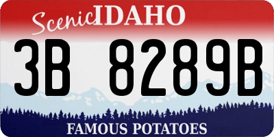 ID license plate 3B8289B