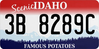 ID license plate 3B8289C