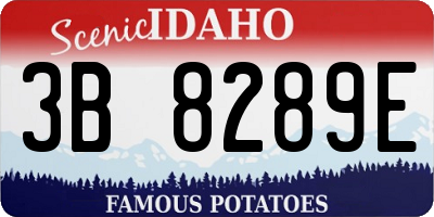 ID license plate 3B8289E