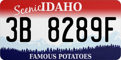 ID license plate 3B8289F