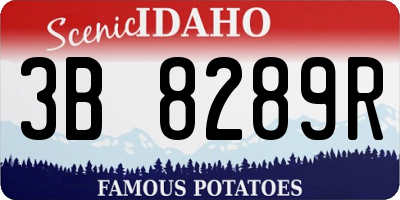 ID license plate 3B8289R